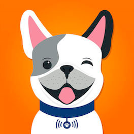 DogCityParis